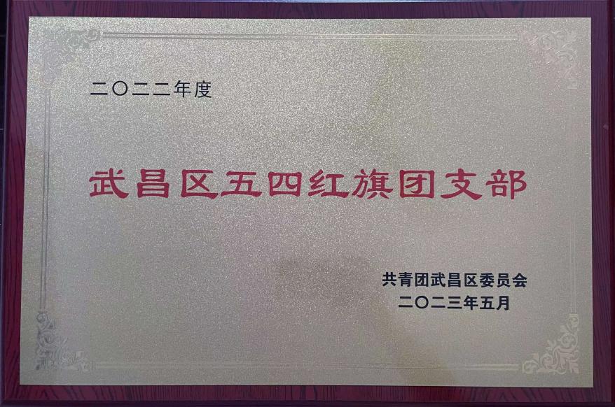 喜报!团武昌区委表彰我校四个先进集体和个人! 喜报!团武昌区委表彰我校四个先进集体和个人!