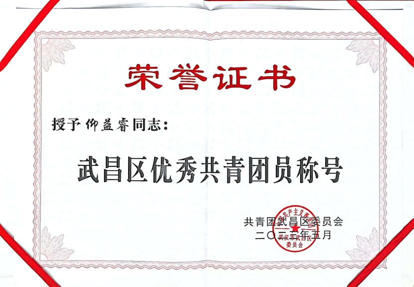 喜报!团武昌区委表彰我校四个先进集体和个人! 喜报!团武昌区委表彰我校四个先进集体和个人!