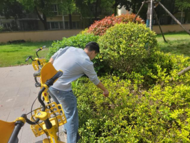 以劳育德,以行践知——我院开展《劳动教育》课程实践活动 以劳育德,以行践知——我院开展《劳动教育》课程实践活动