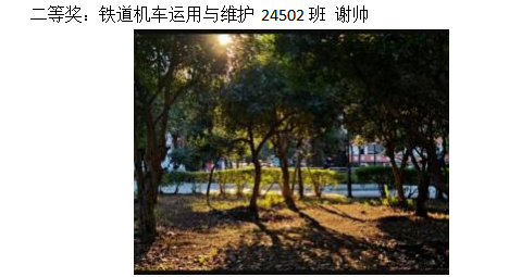 青春光影，定格武科职美好瞬间 ——武汉科技职业学院2026年校园摄影大赛圆满收官