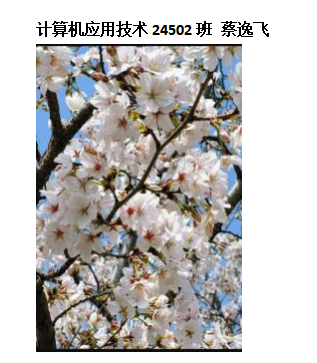 青春光影，定格武科职美好瞬间 ——武汉科技职业学院2026年校园摄影大赛圆满收官