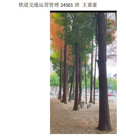 青春光影，定格武科职美好瞬间 ——武汉科技职业学院2026年校园摄影大赛圆满收官