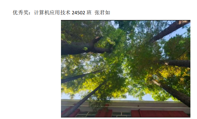 青春光影，定格武科职美好瞬间 ——武汉科技职业学院2026年校园摄影大赛圆满收官