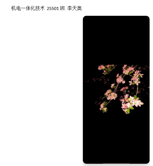 青春光影，定格武科职美好瞬间 ——武汉科技职业学院2026年校园摄影大赛圆满收官