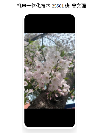 青春光影，定格武科职美好瞬间 ——武汉科技职业学院2026年校园摄影大赛圆满收官