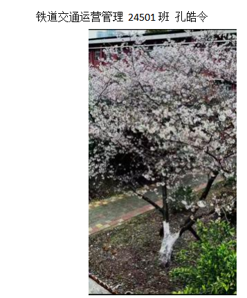 青春光影，定格武科职美好瞬间 ——武汉科技职业学院2026年校园摄影大赛圆满收官