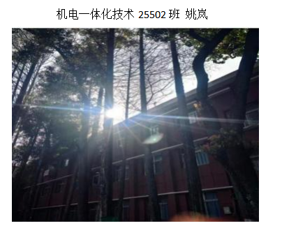 青春光影，定格武科职美好瞬间 ——武汉科技职业学院2026年校园摄影大赛圆满收官