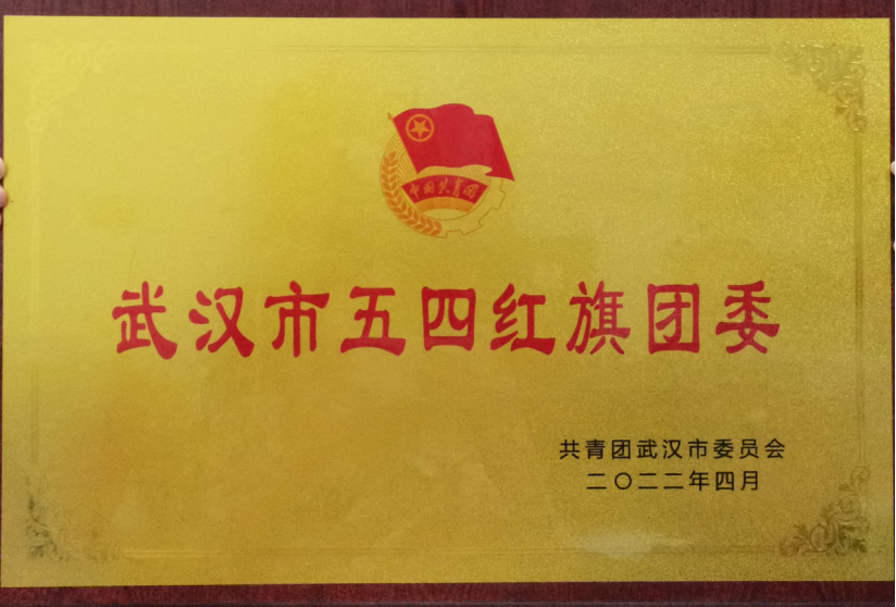 喜报！我校团委工作荣获武汉市和武昌区五四表彰多项荣誉